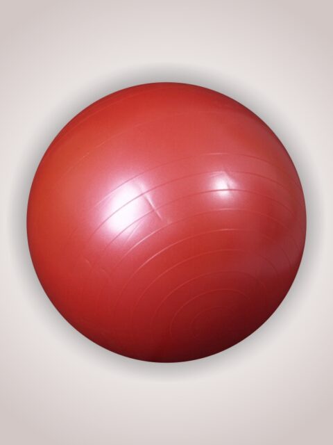 ОРТОСИЛА Мяч гимнастический с системой ABS L 0765b