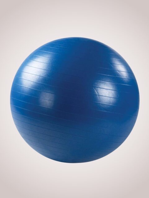 ОРТОСИЛА Мяч гимнастический с системой ABS L 0775b