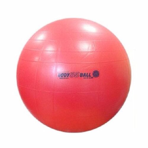 Гимнастический мяч ORTO Body Boll 55 см с BRQ красный